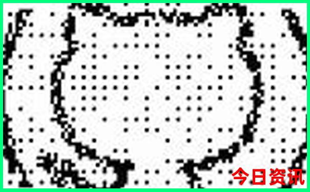 君山岛必去的三个景点